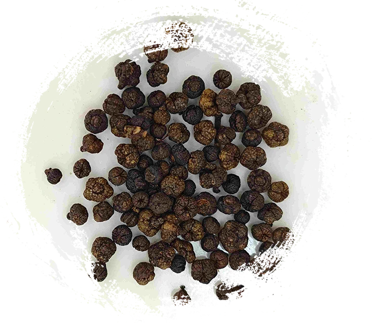 Verarbeitete Evodia -Frucht (Zhì Wúzhūyú)