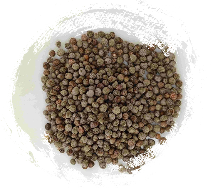 Perillasamen (Zǐsūzǐ)