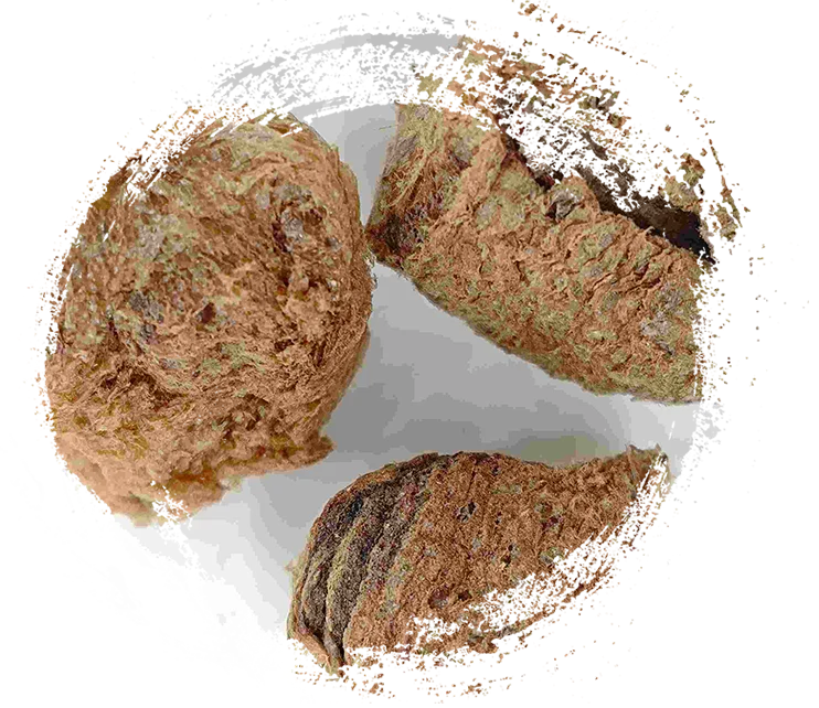 Seidenraupe Exuviae (Sāngpiáoqiào)