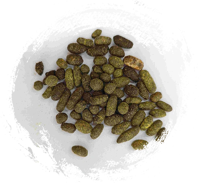 Lackbaumharz (Wǔlíngzhī)