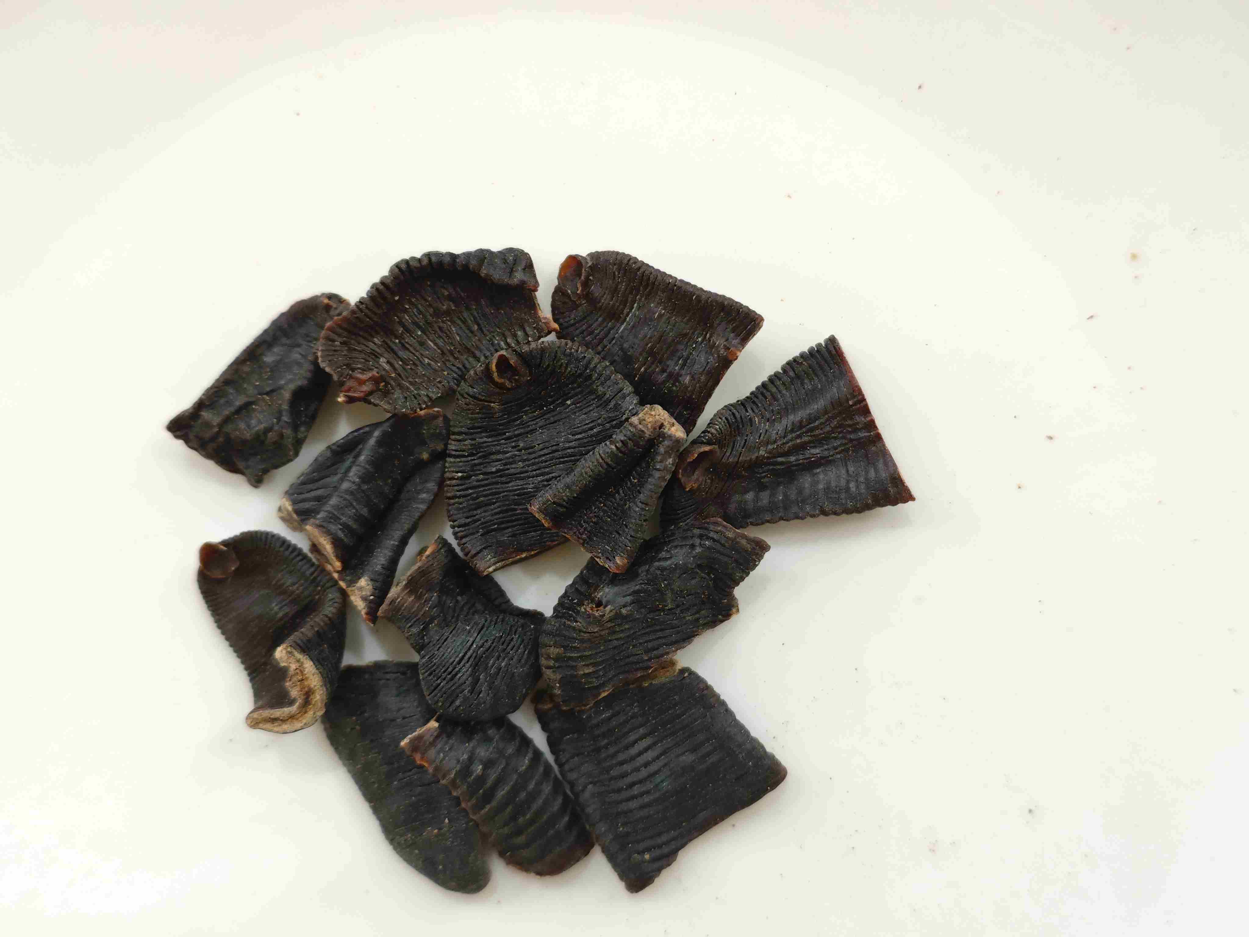 Blutegel (Shuǐzhì)