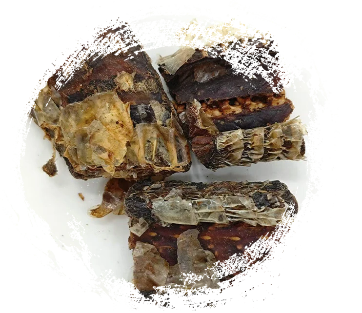 Weinverarbeitete Schwarzzack-Schlange (Jiǔ Wūshāo Shé)