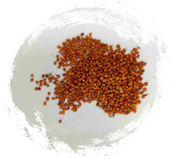 Welche Merkmale sollten Sie bei hochwertigen traditionellen chinesischen Mineralmedizinprodukten beachten?