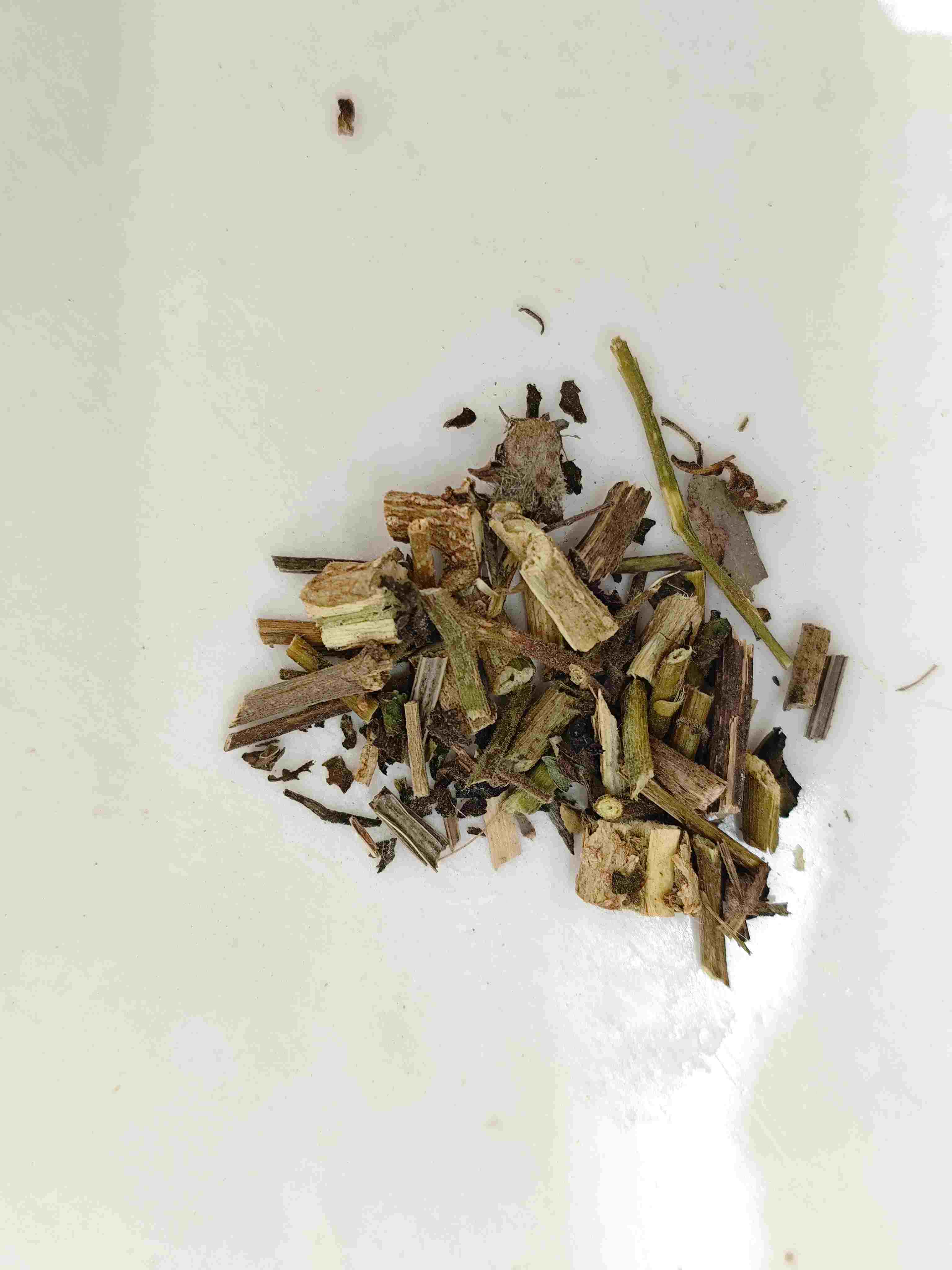 Weiße Knospe (Báiyīng)