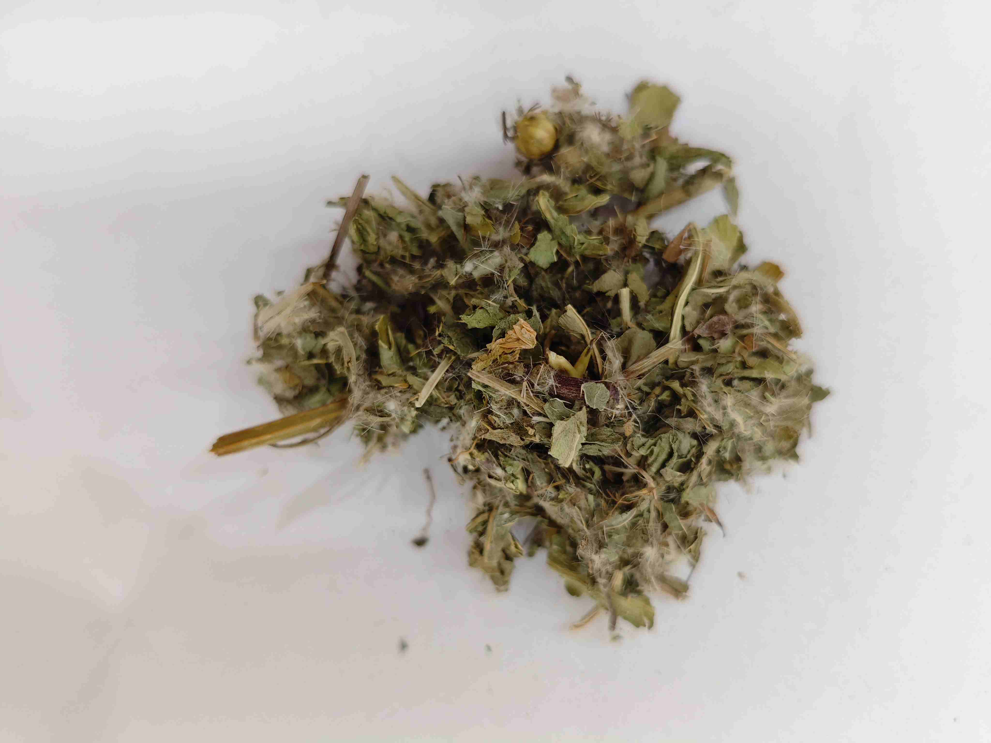 Kleiner Distel (xiǎo jì)