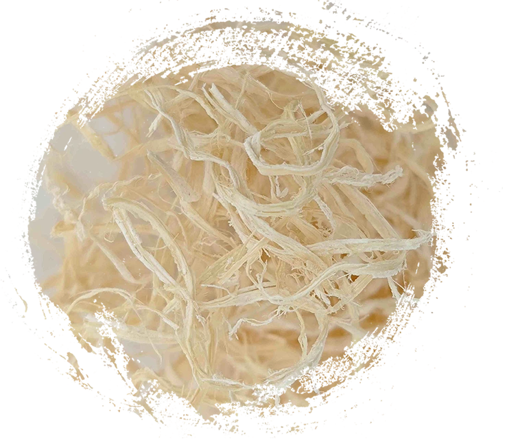 Bamboo Pith (Zh&uacute; R&uacute;)