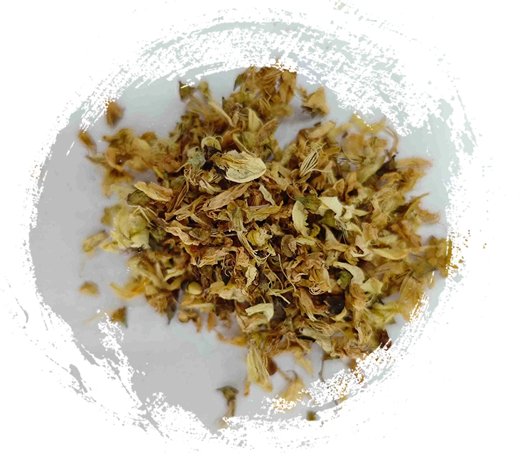 Sophora Blume (Hu&aacute;i Huā)