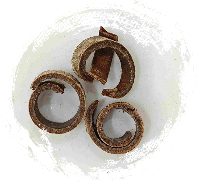 Magnolienrinde (Hòupò)