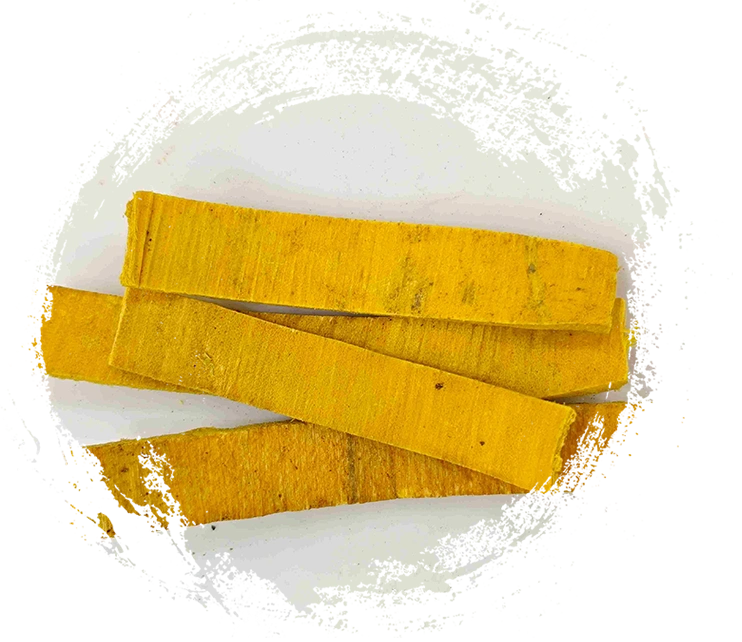 Phellodendron -Rinde (Huángbò)