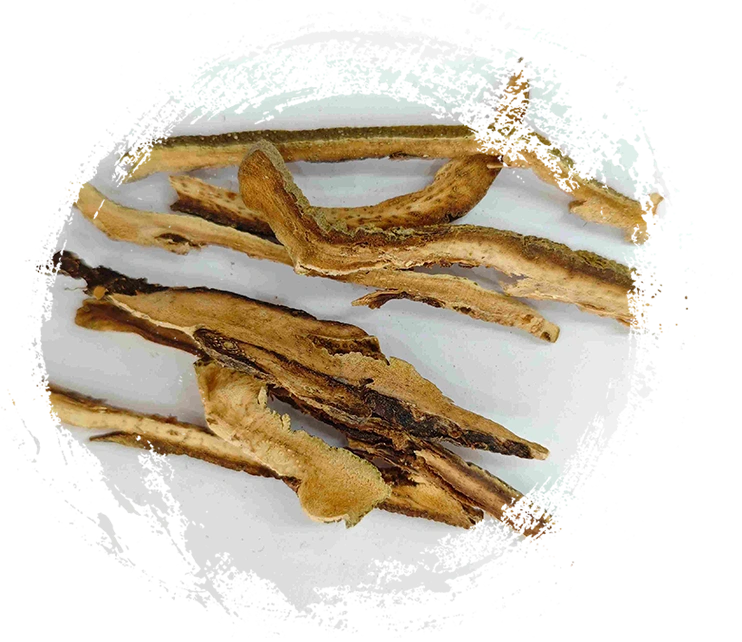 Rotes Mandarine (Júhóng)