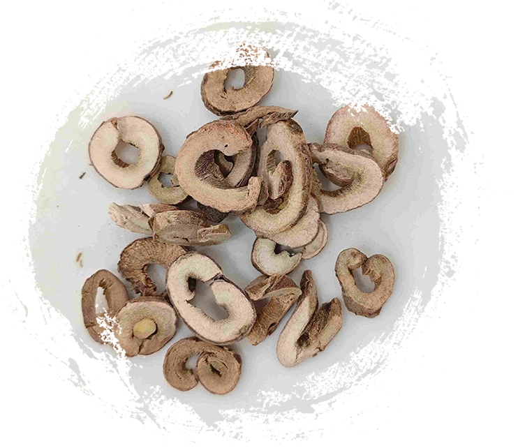 Baumpfleckenrinde (Mǔdān Pí)