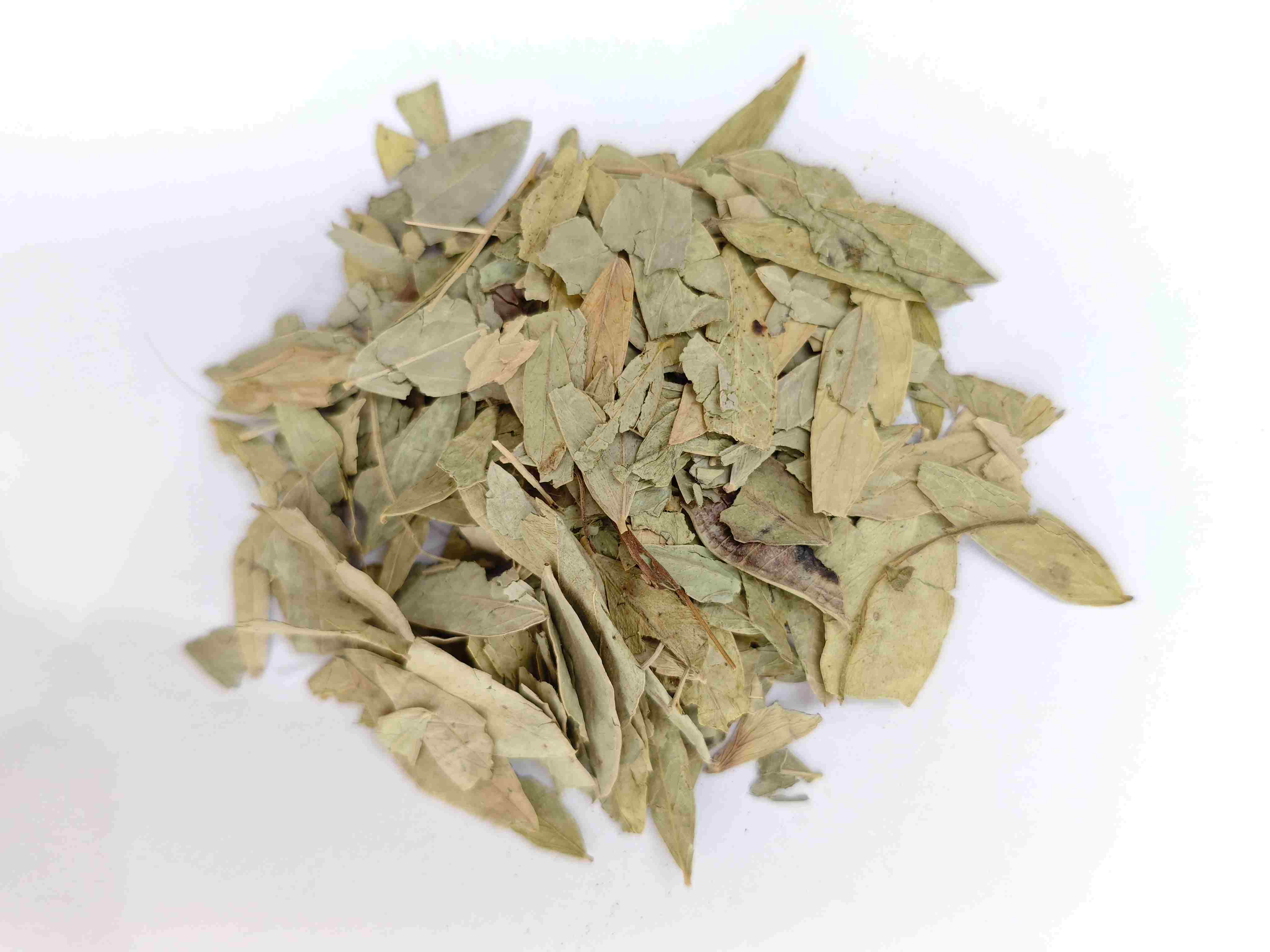 Senna Blatt (fānxi&egrave; y&egrave;)