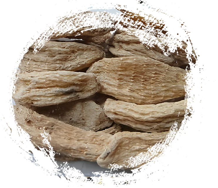 Shennongjia Gastrodia Elata aus Hubei