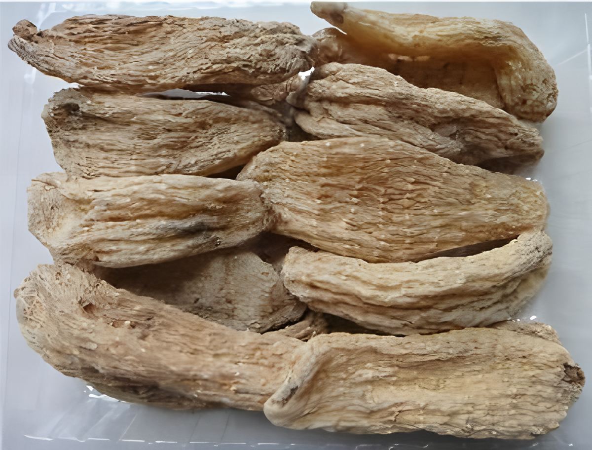 Shennongjia Gastrodia Elata aus Hubei